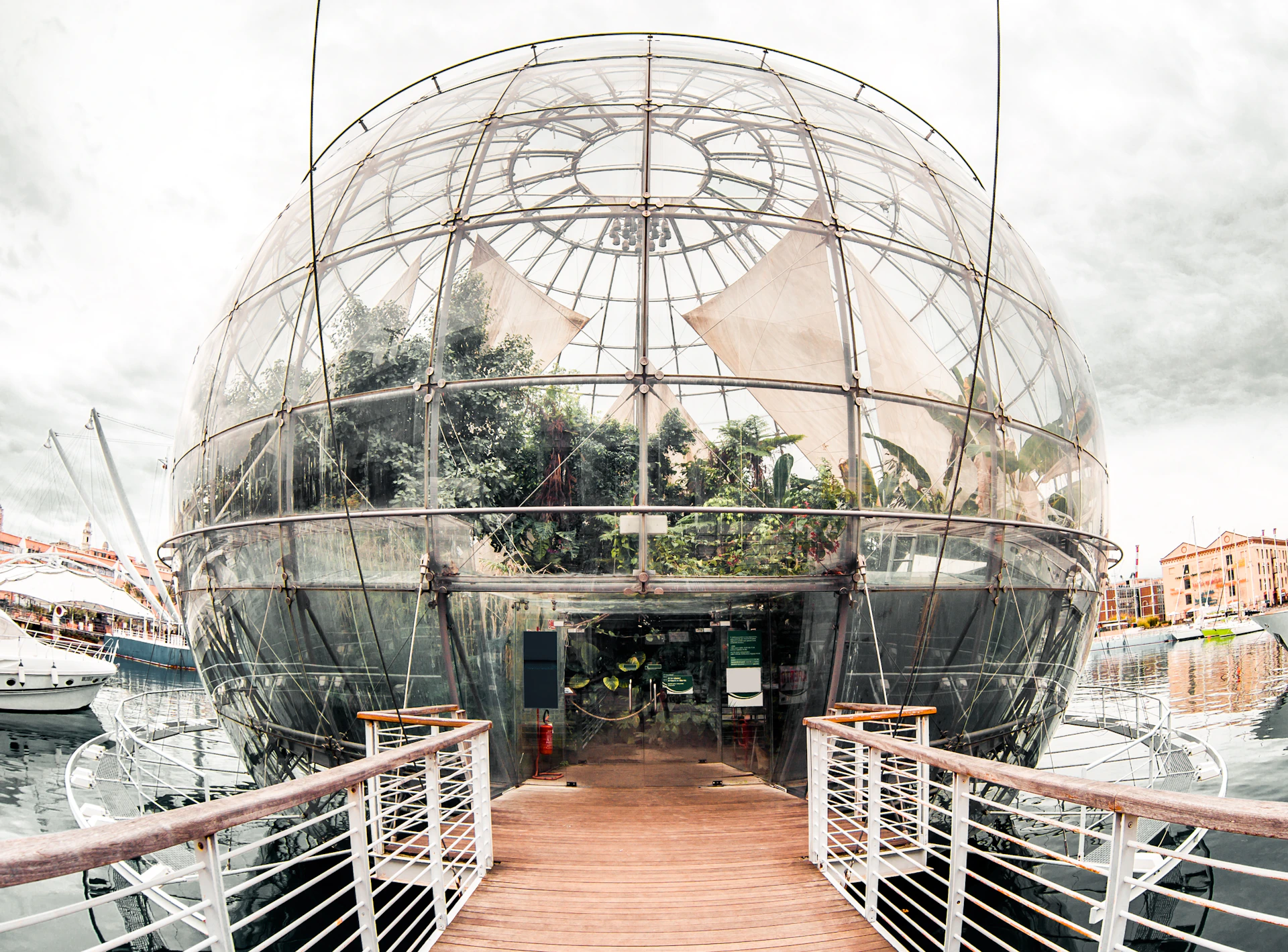 A large glass dome structure with plants inside, viewed from the entrance of a wooden walkway with railings.