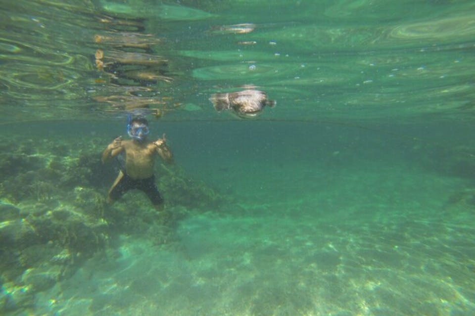 엘쿠세이르에서 스노클링 즐기기