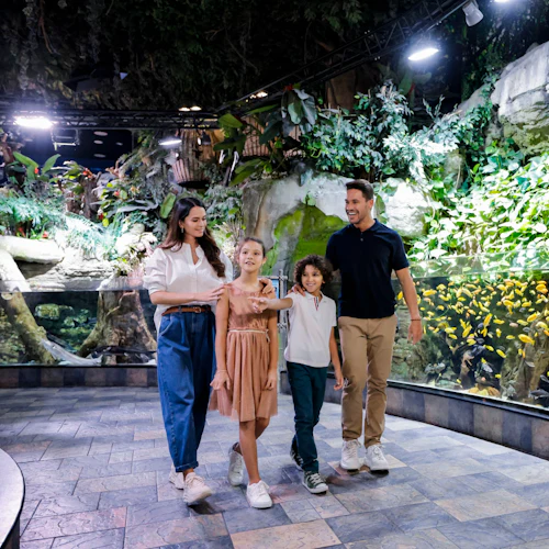 A family of four walking together in an indoor aquarium setting surrounded by lush greenery and fish tanks.