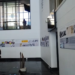 Robben Island and Table Mountain Full Day Tour 5