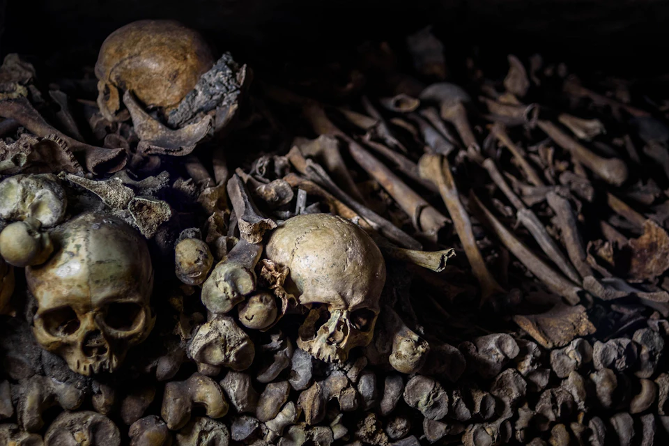 Catacombs of Paris