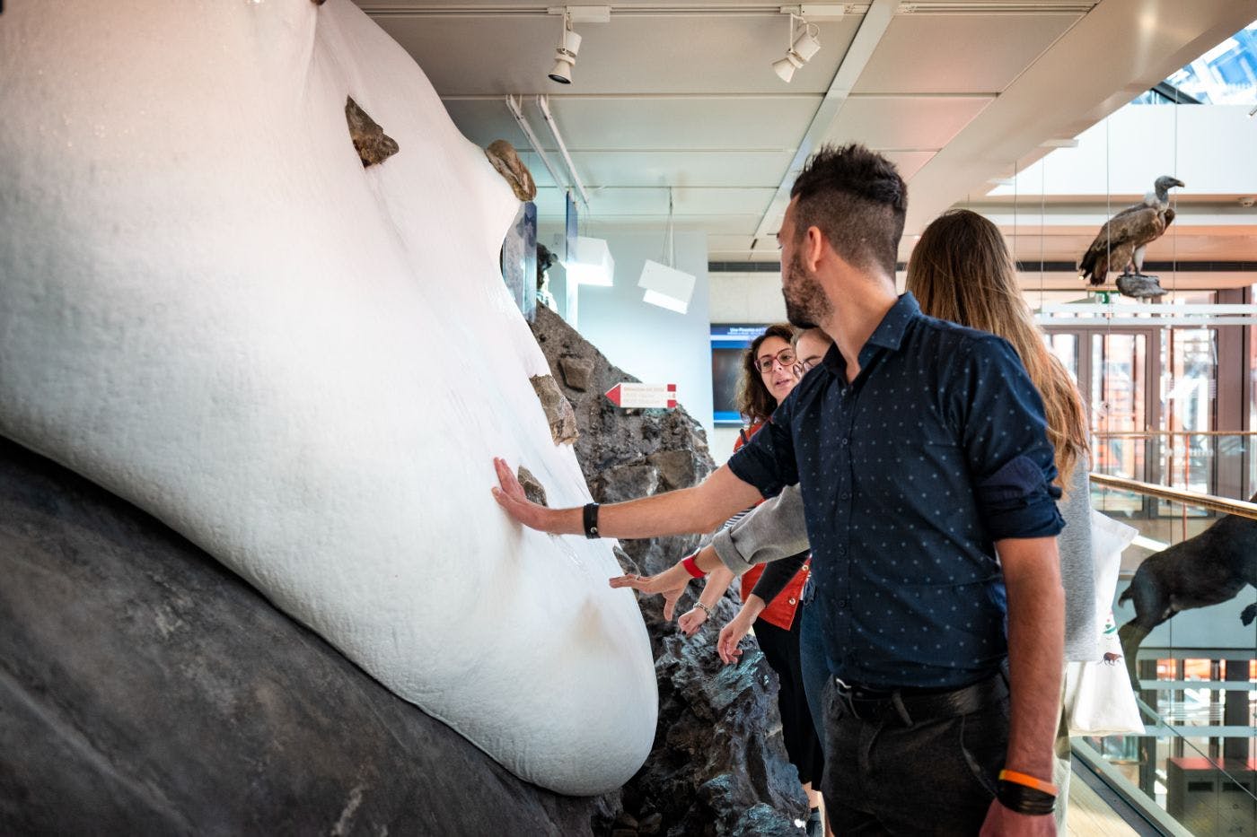 빙하와 박물관의 높은 봉우리