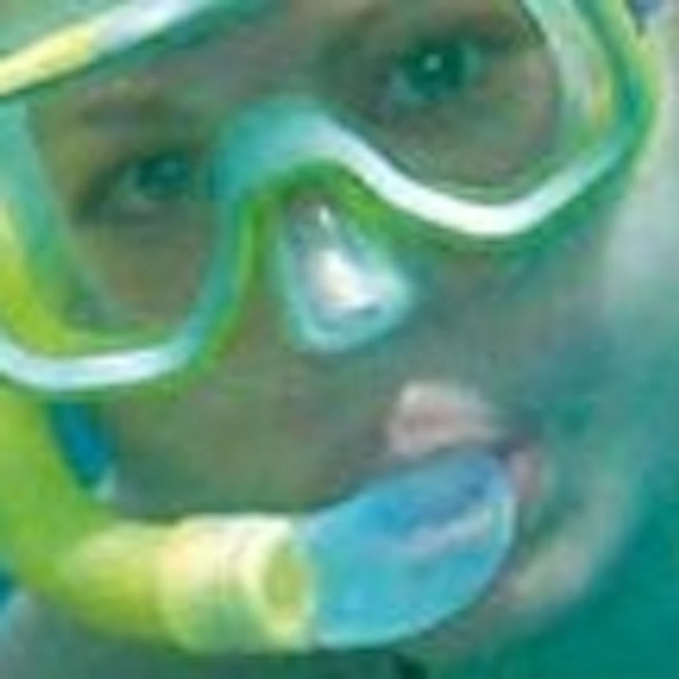 A person in snorkel gear swims underwater next to a close-up of a sea turtle with a detailed shell pattern.