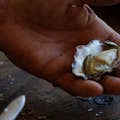 シドニーの岩牡蠣の皮をむいて