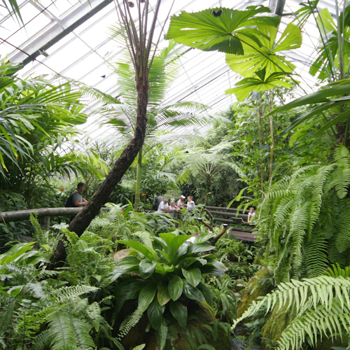 Australian Butterfly Sanctuary: Entry Ticket
