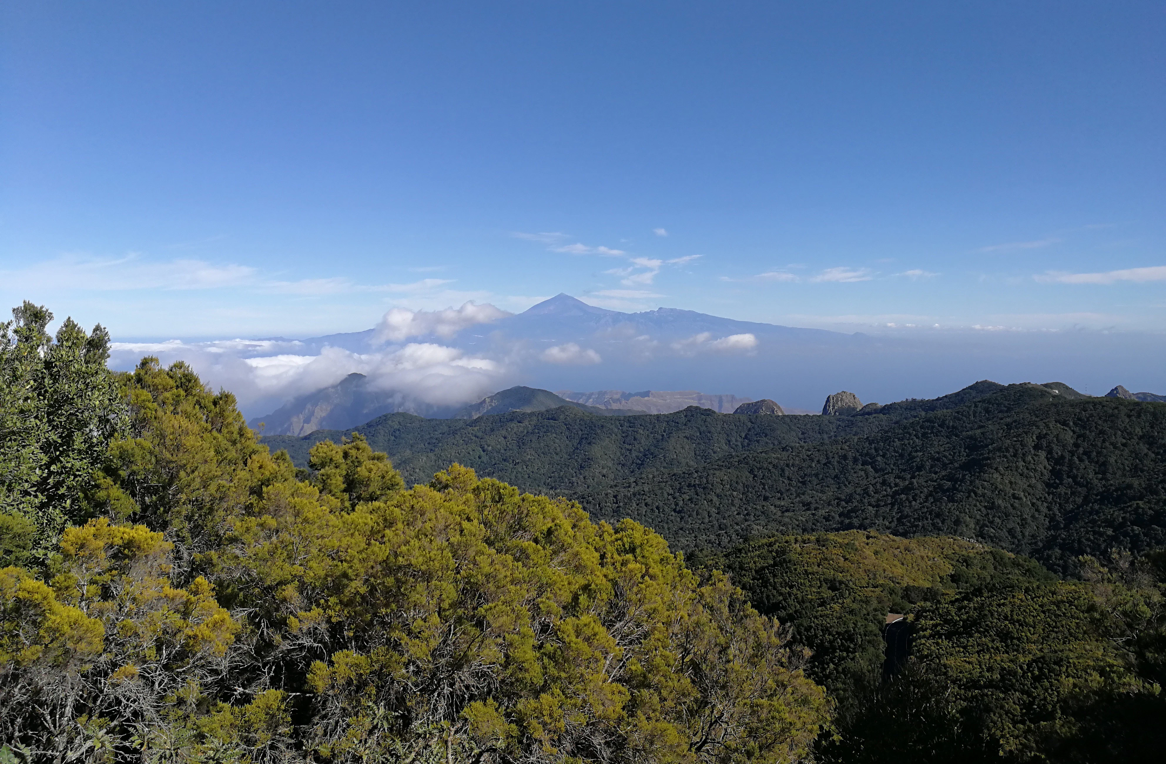 La Gomera Day Trip From Tenerife