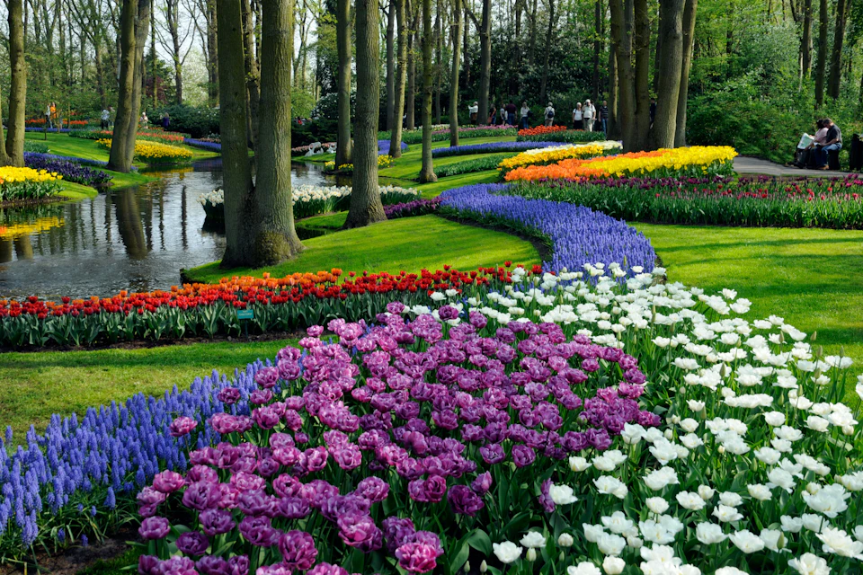 A vibrant garden with colorful flower beds, meandering paths, trees, and a small water feature under a clear sky.