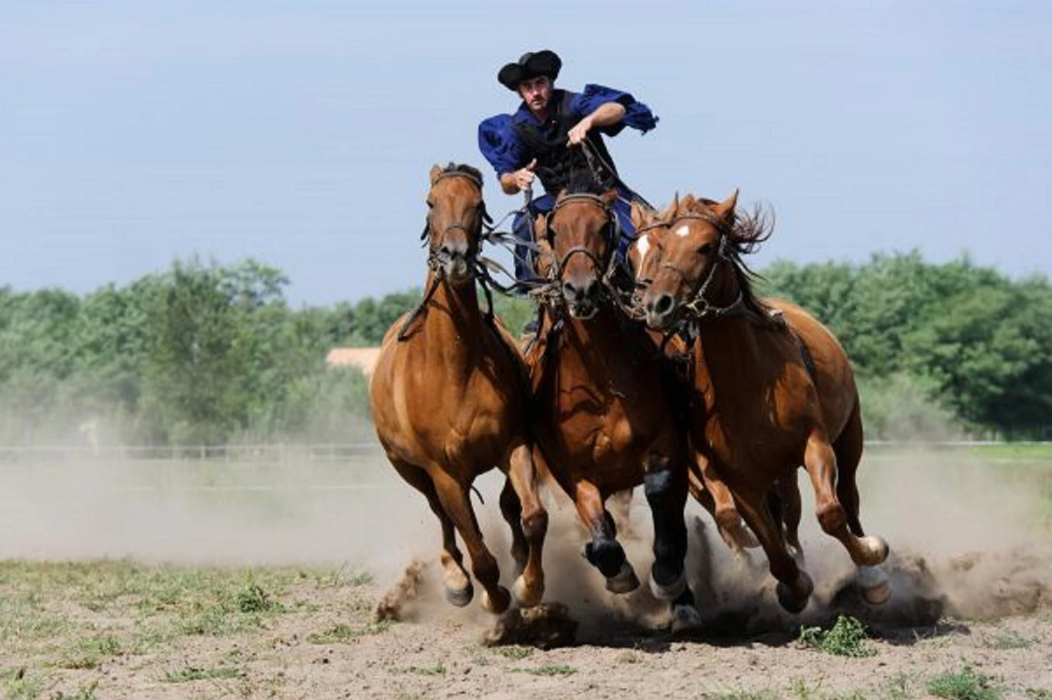 Puszta Full-Day Tour from Budapest including Horse Show & Lunch