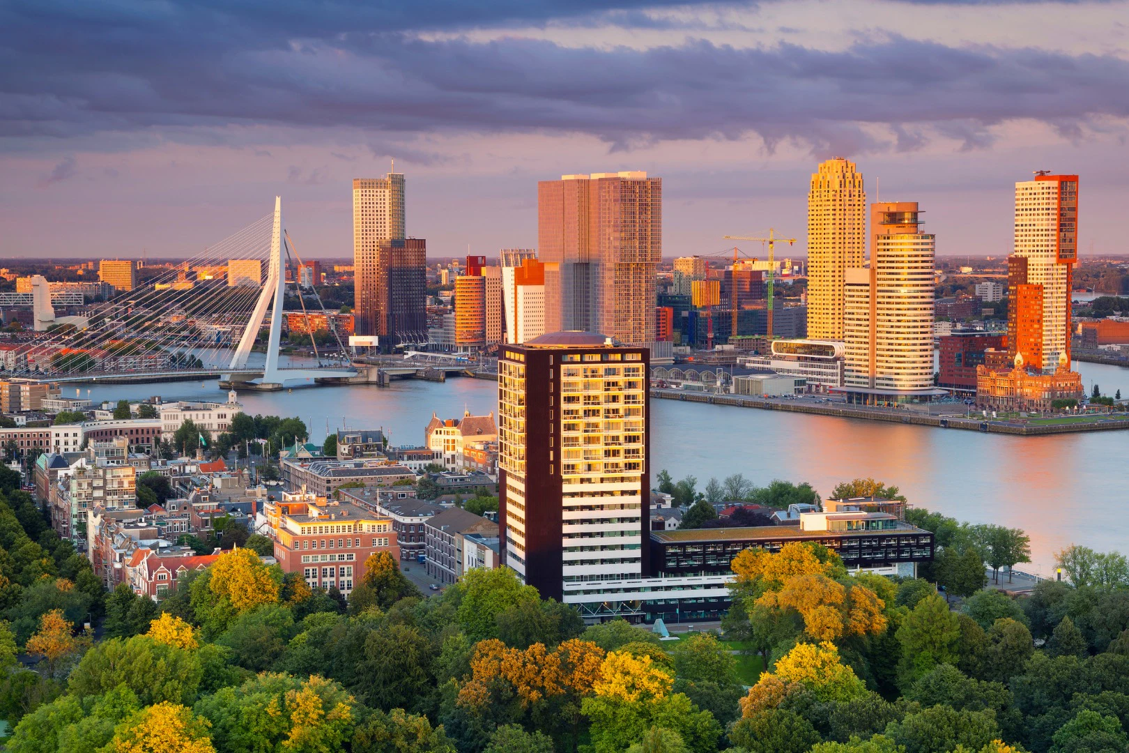 Private Airport Transfer (Schiphol To/From Rotterdam)