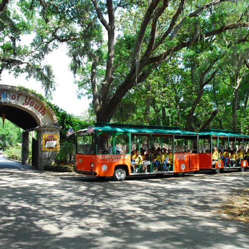Santo Agostinho: Trolley hop-on hop-off da Cidade Velha - Photo 6