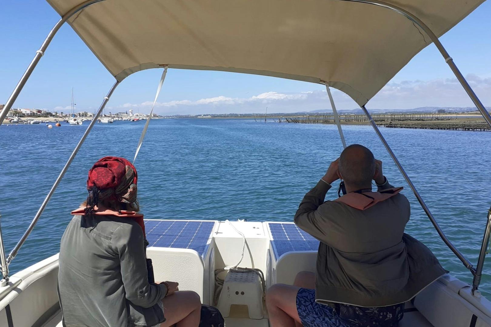 태양열 보트를 타고 즐기는 리아포르모사 조류 관찰
