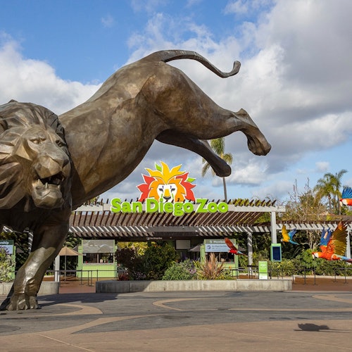 Tour Image