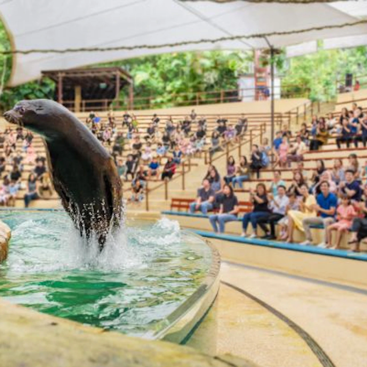 Singapore Zoo: Entry Ticket in Singapore β Tiqets