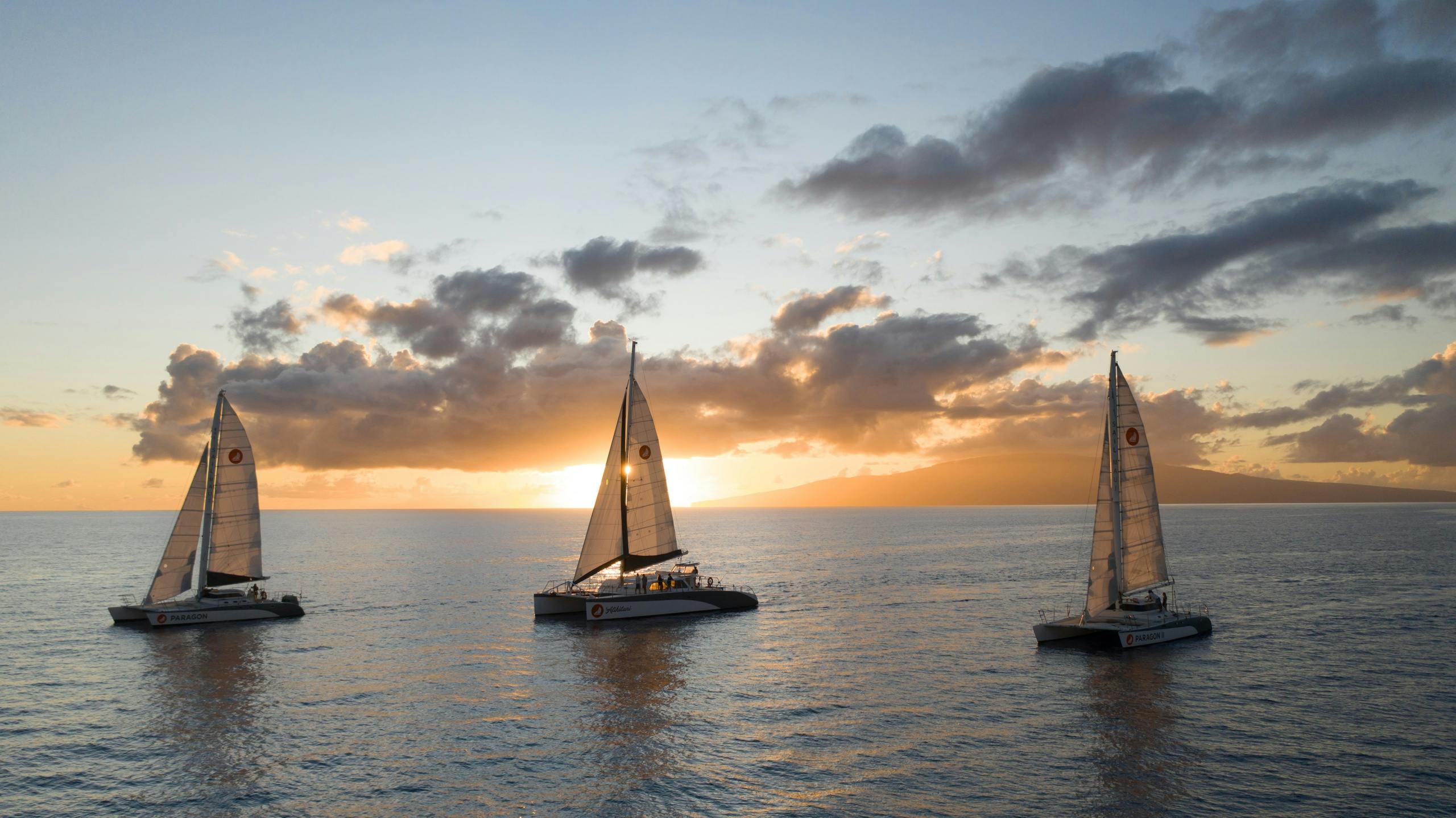 Akialoa: Vela al tramonto