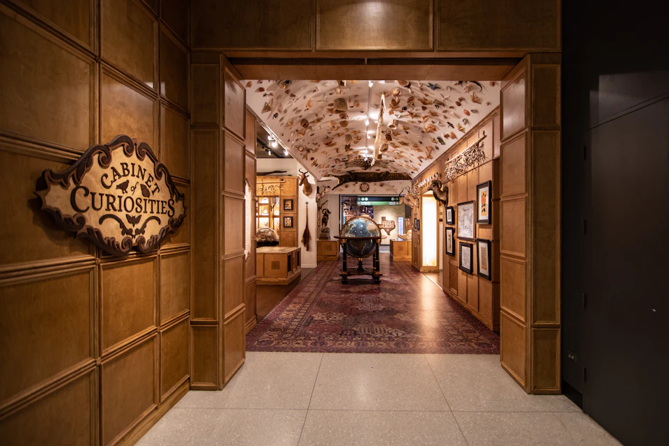 The Cabinet of Curiosities at Houston Museum of Natural Science