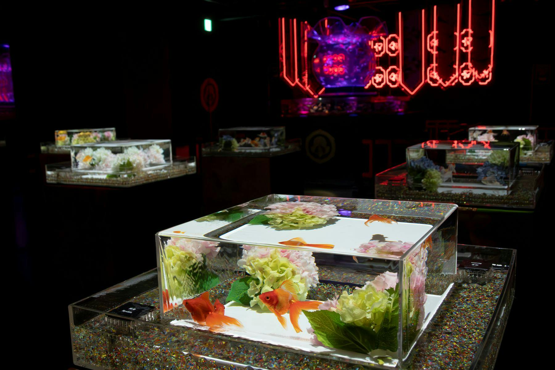 Ένα έντονα φωτισμένο ενυδρείο με χρυσόψαρα και λουλούδια σε ένα αμυδρά φωτισμένο δωμάτιο με πινακίδες νέον στο παρασκήνιο.