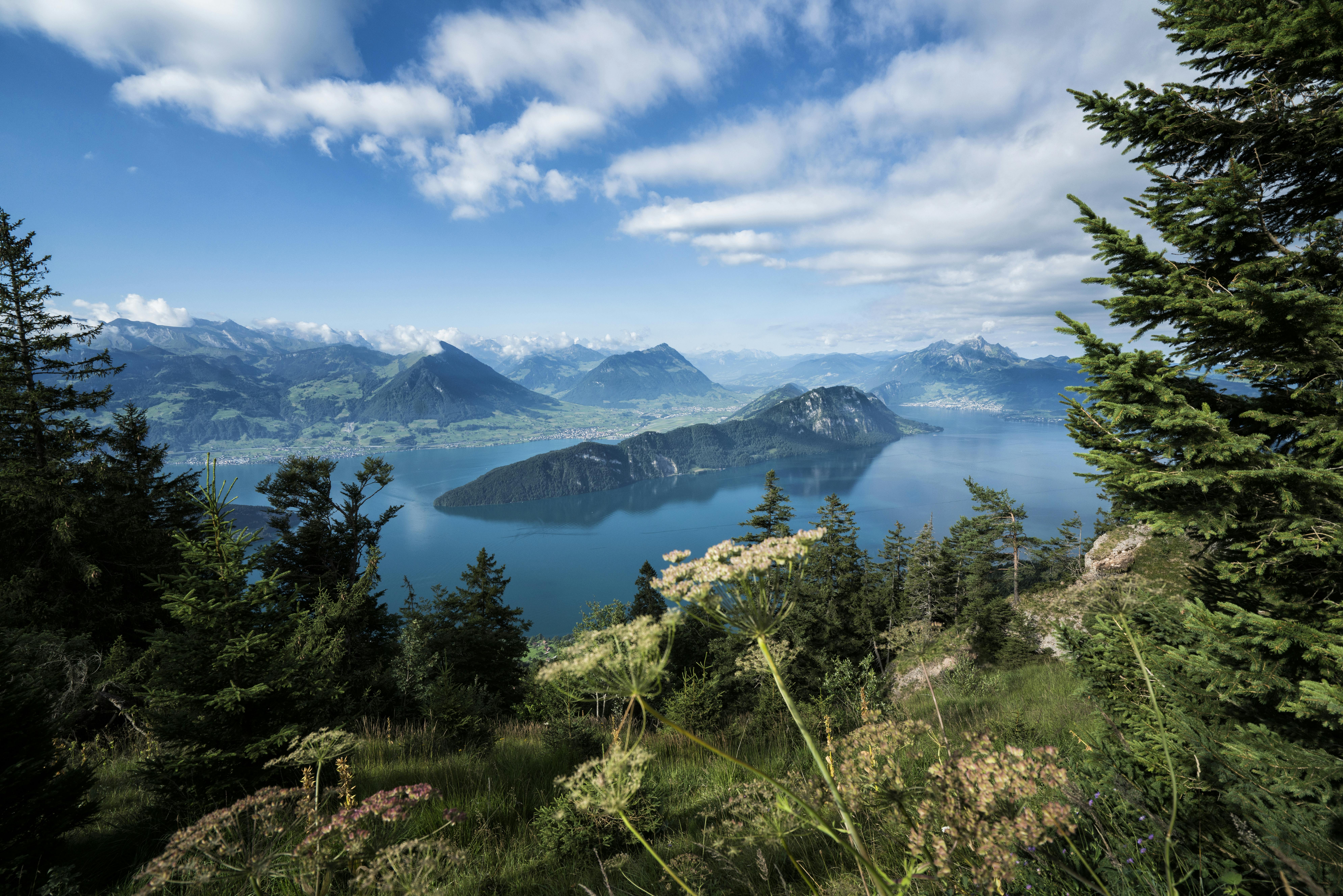 S výhledem na malebné jezero obklopené horami, se svěžím popředím stromů a divokých květin pod částečně zataženou oblohou.