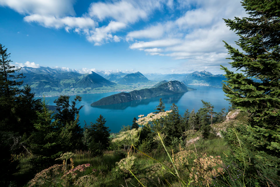 Overlooking a scenic lake surrounded by mountains, with a lush foreground of trees and wildflowers under a partly cloudy sky.