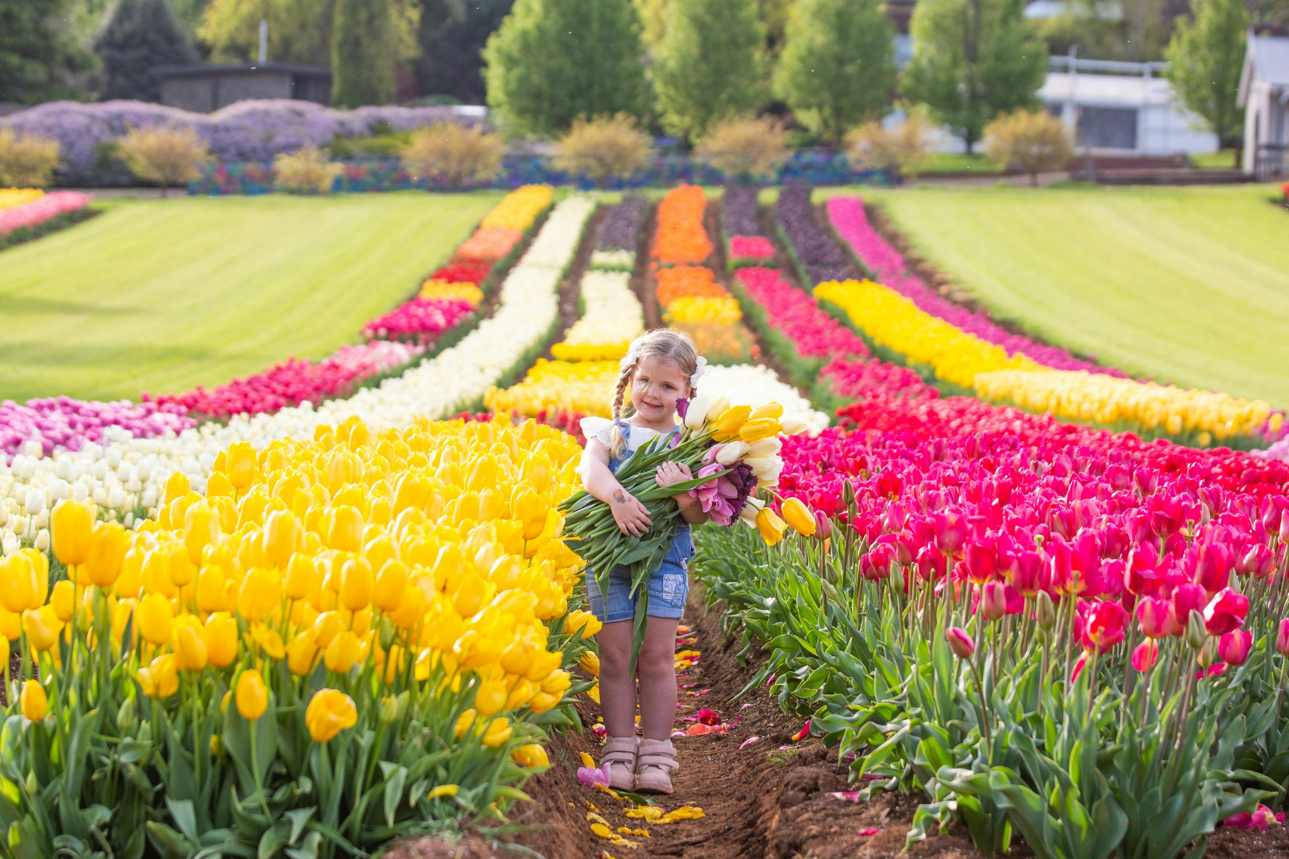 Yarra Valley Floral Day Pass