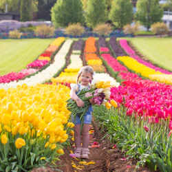 Yarra Valley Floral Day Pass
