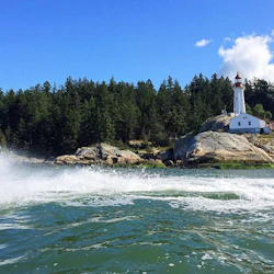 Vancouver Harbour & Howe Sound: Guided Jet Ski Tour 4