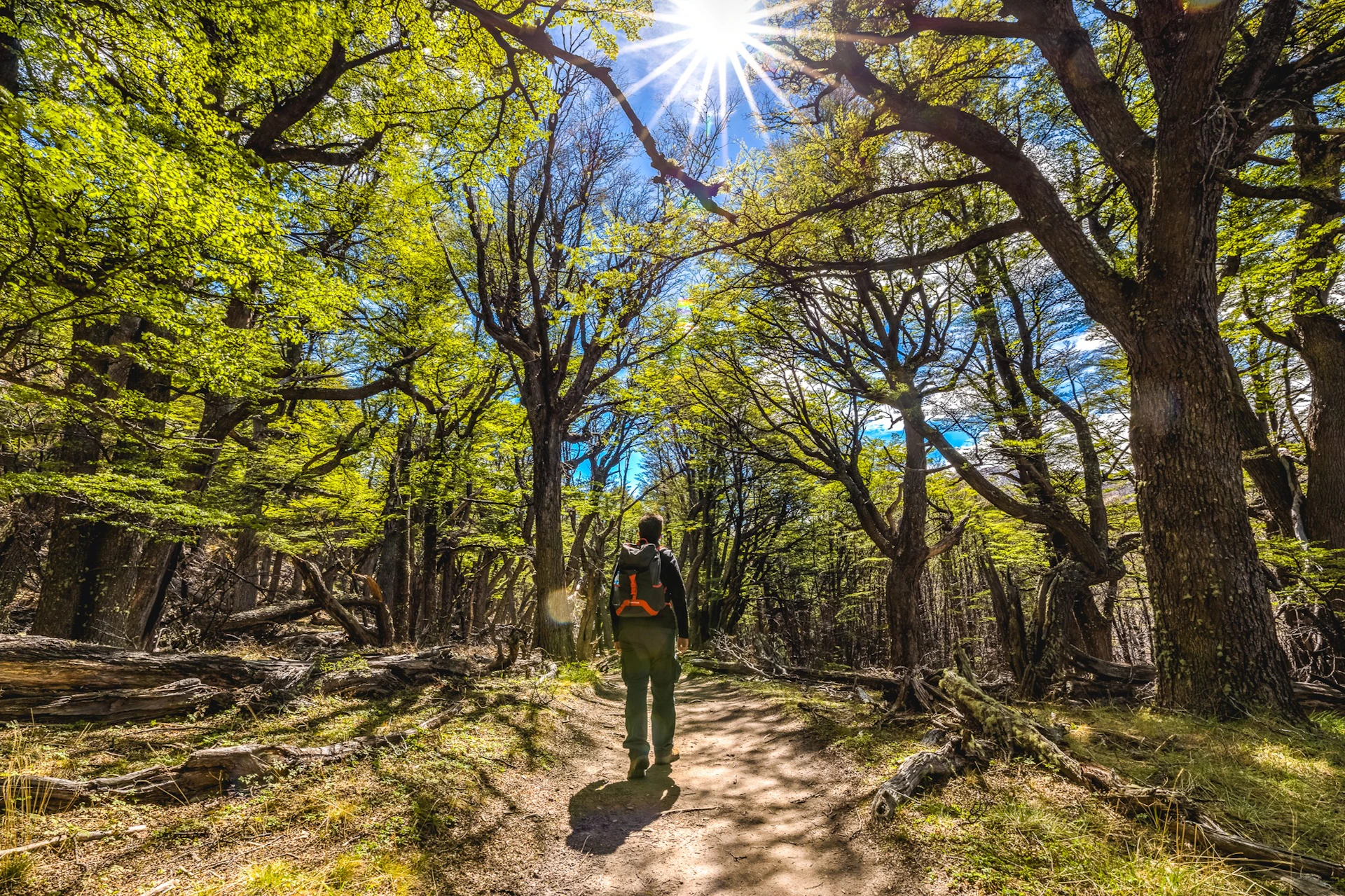 Trekking in El Chalten