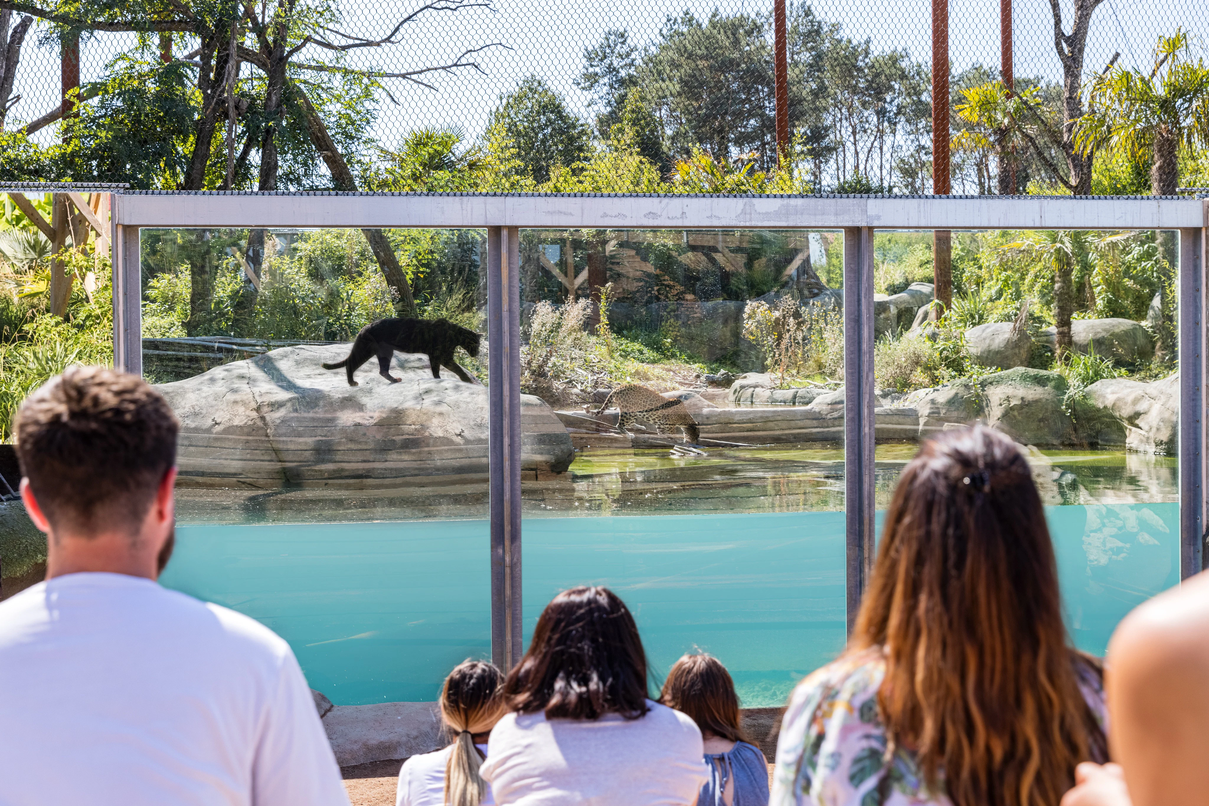 Parrot World: Annual Pass