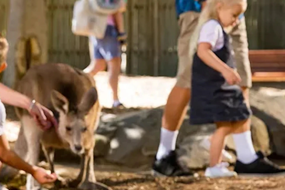 Dreamworld Gold Coast: 1-Day Flexible Ticket