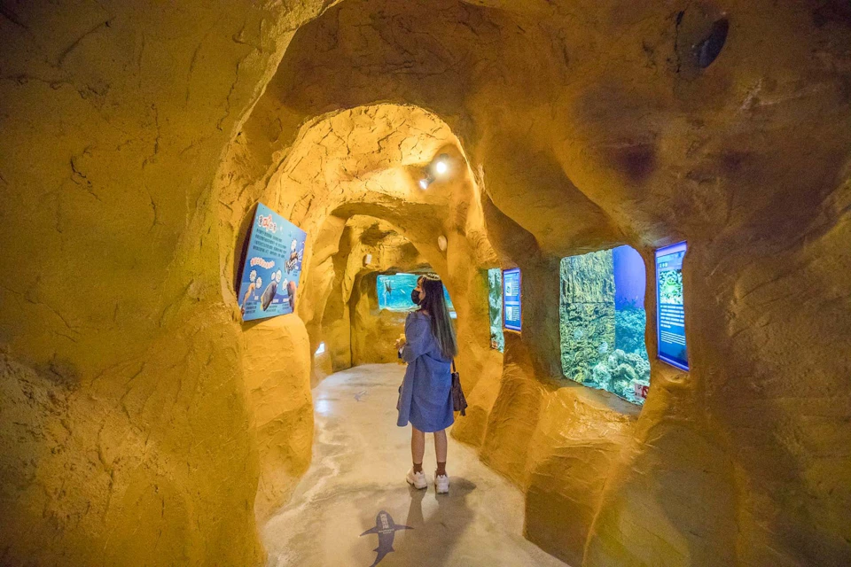 A person exploring a cave-like passage with informational displays and aquarium tanks embedded in the walls.