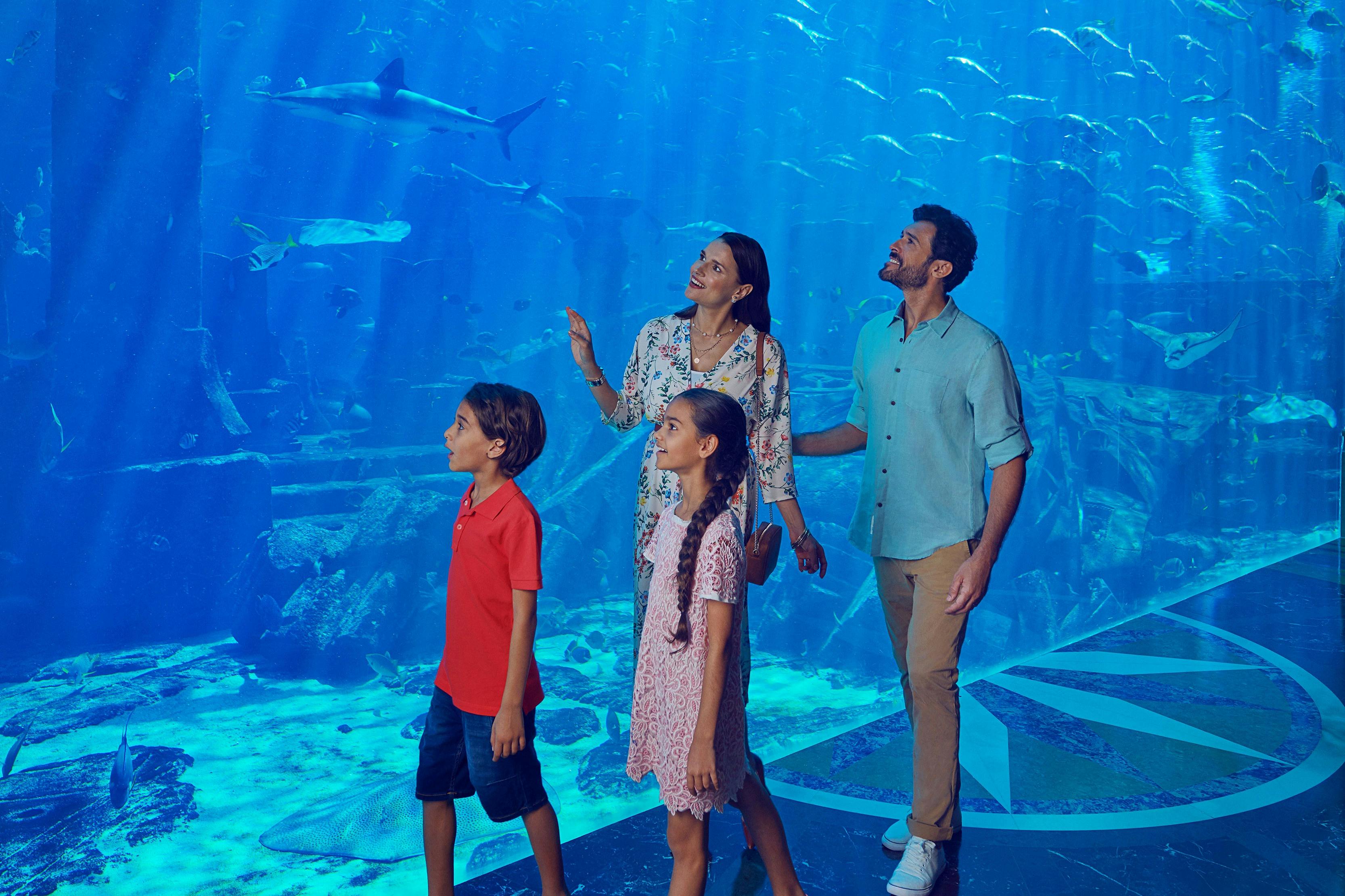 棕榈岛亚特兰蒂斯--大使泻湖之旅