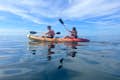L'attrezzatura per il kayak può essere noleggiata dalla spiaggia a qualsiasi area per gli sport acquatici.
