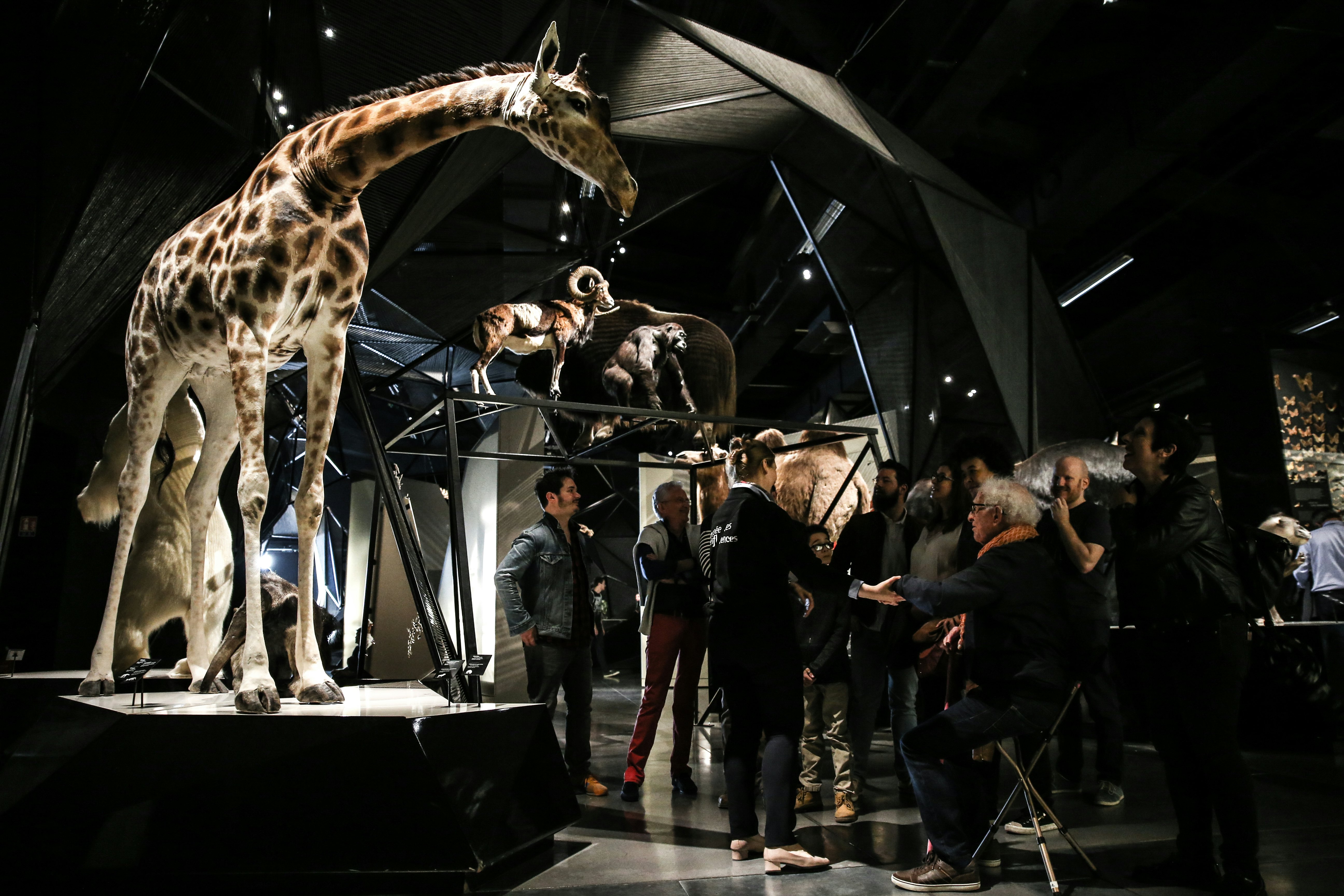 Musée des Confluences + Aquário de Lyon