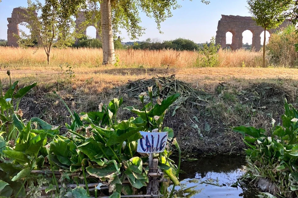 Stream in the Aqueducts Park