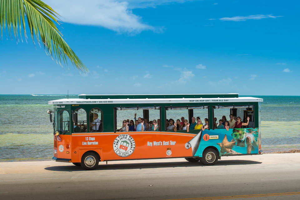 A colorful tour trolley bus filled with passengers is parked near a beach under a clear blue sky with a visible palm frond.
