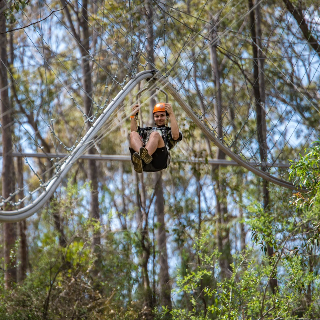 Western Sydney: Treetops Adventure in Abbotsbury β Tiqets