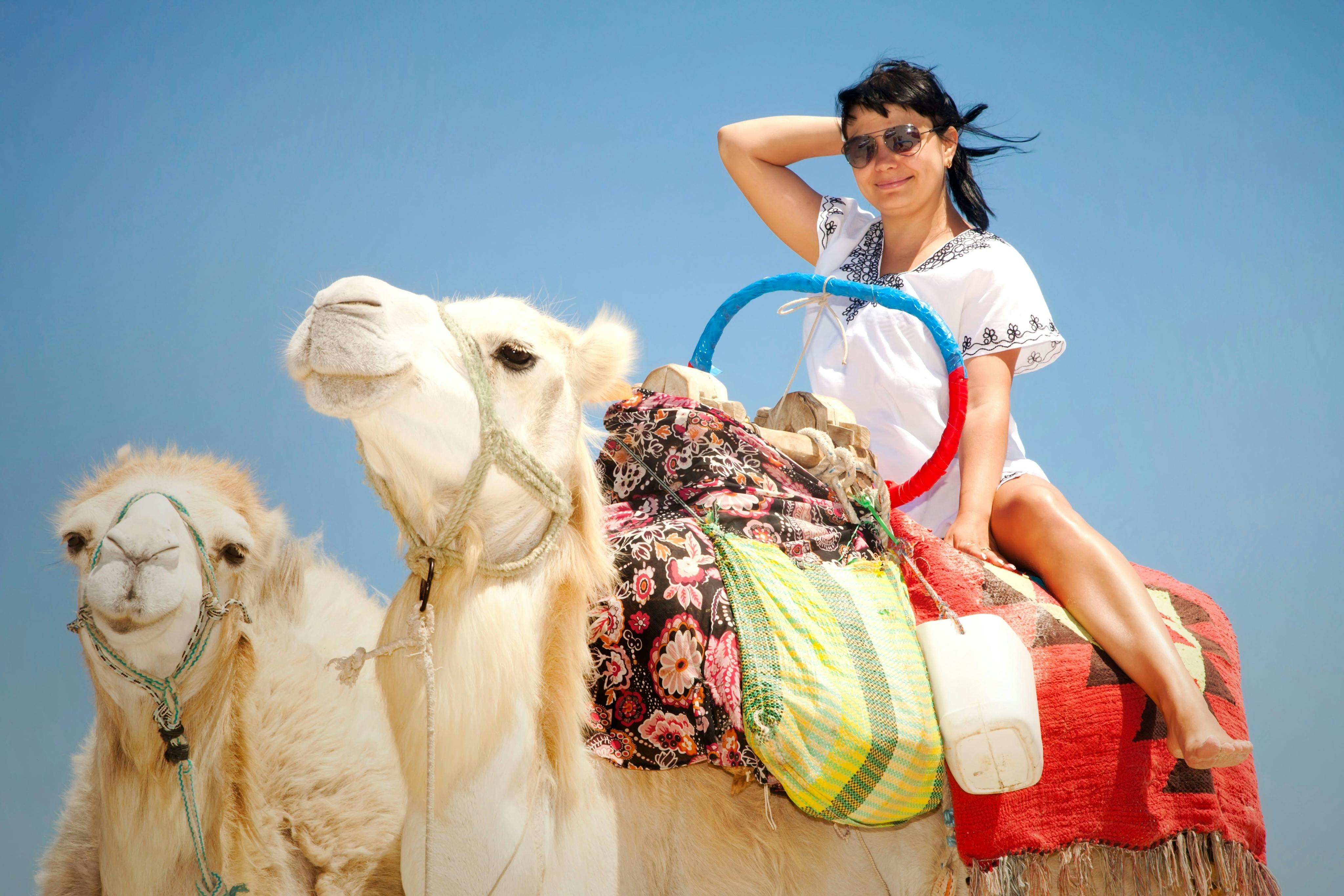 Una persona amb ulleres de sol i una samarreta blanca munta un camell decorat en un desert amb un cel blau clar. Un altre camell és a prop.