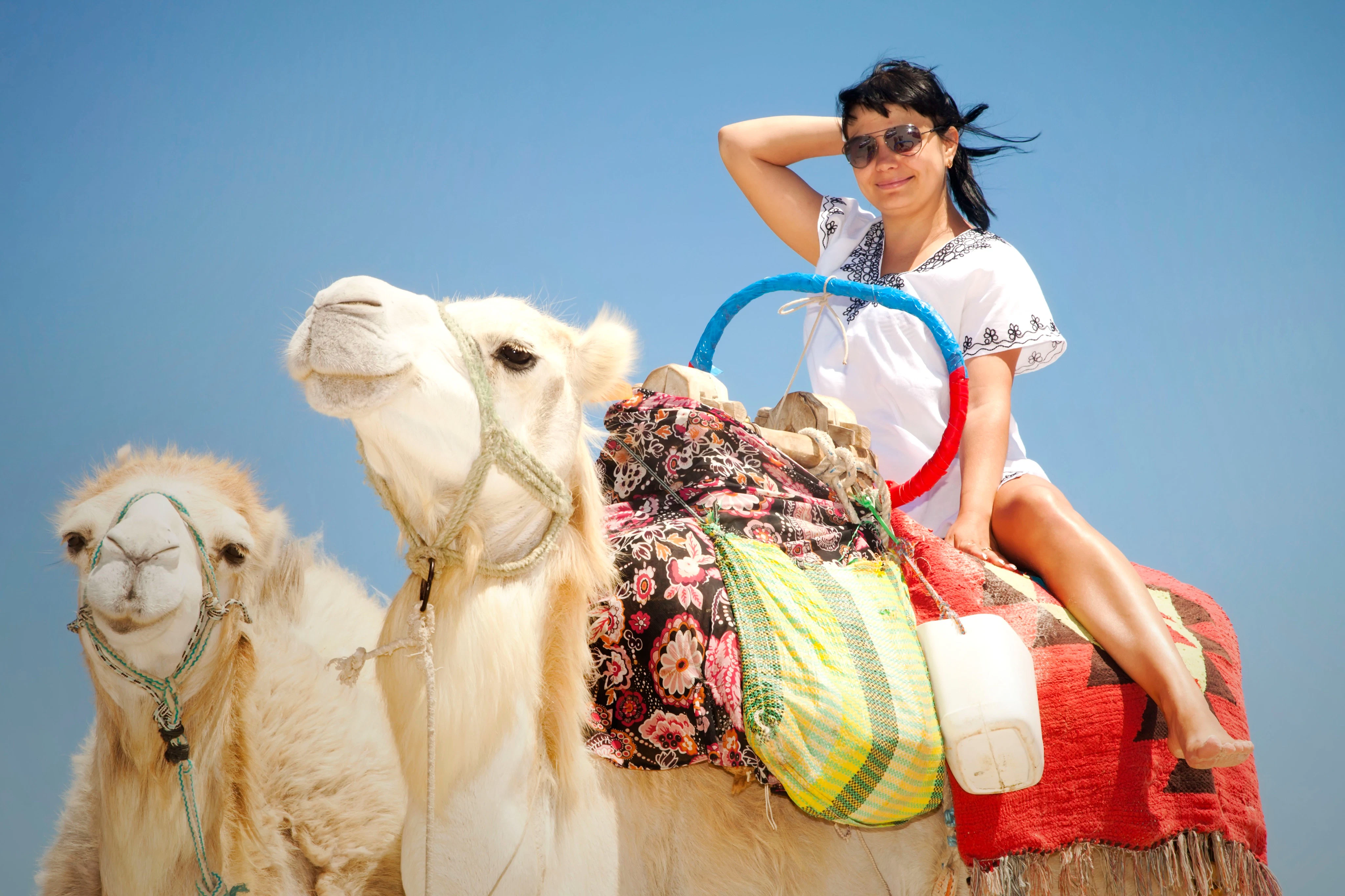 Hurghada: 1-Hr Guided Camel Ride + Transfer