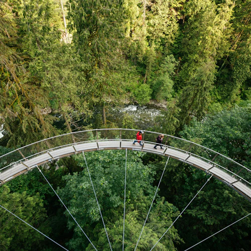 Capilano Suspension Bridge Park: Entry Ticket - Photo 7