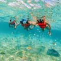 Mergulho com snorkel em uma enseada com fauna