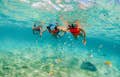Mergulho com snorkel numa enseada com animais