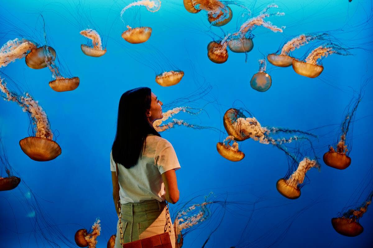 Vancouver City och Park Hop On Hop Off-dagspass