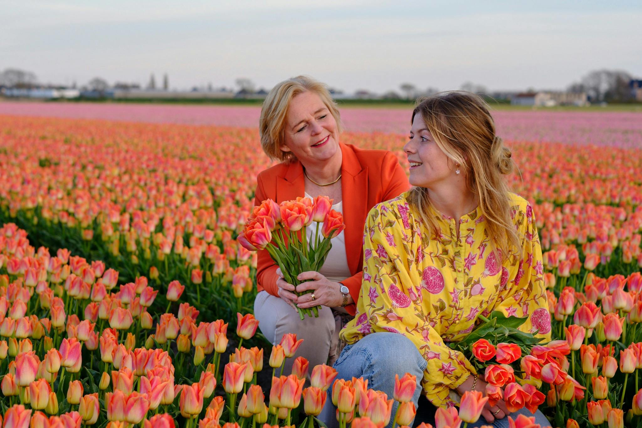 The Tulip Barn Tickets Eintritt Tiqets