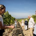 guided tour through biodynamic vineyards
