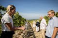 guided tour through biodynamic vineyards
