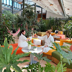 Széchenyi Spa: Entry + Palm House with Snack and Cocktail in destination