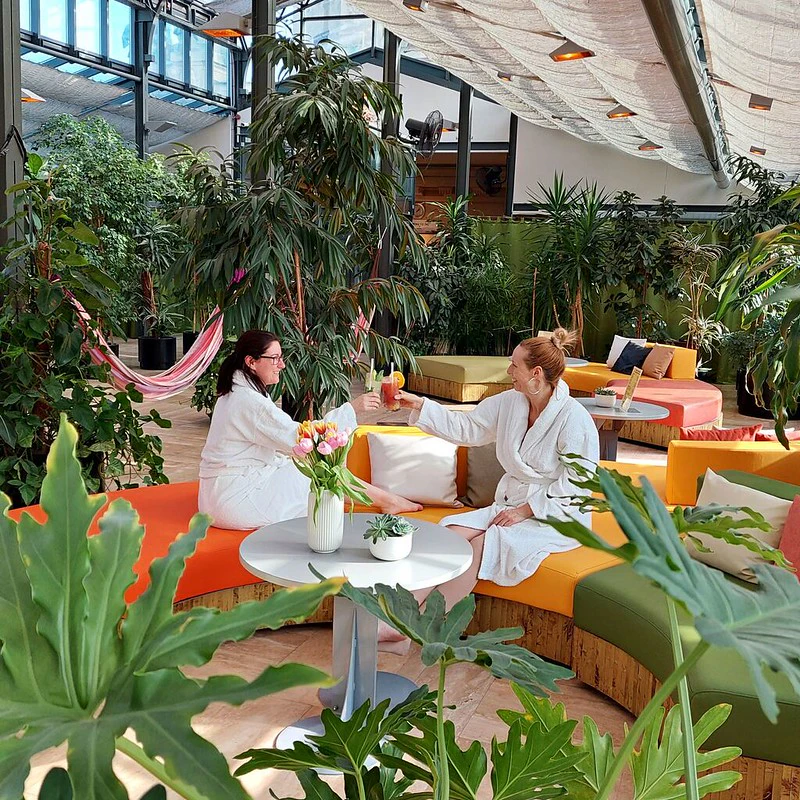 Széchenyi Spa: Entry + Palm House with Snack and Cocktail