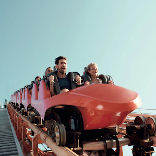 Walygator Sud-Ouest: Entry Ticket