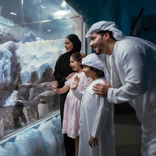Dubai Aquarium & Underwater Zoo: Entry Ticket - Photo 8
