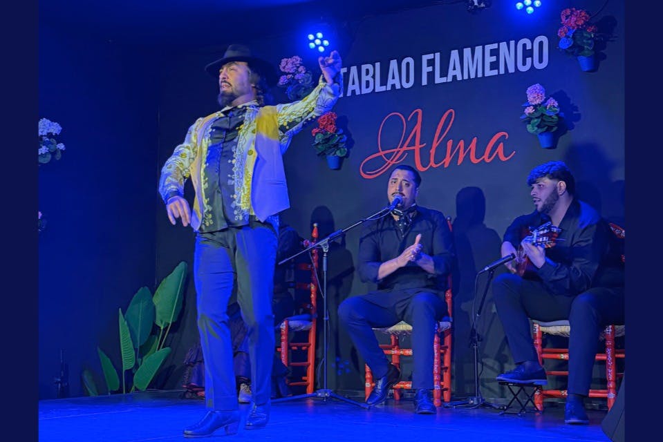 Tablao Flamenco Alma: Spettacolo di flamenco + Cena — 8