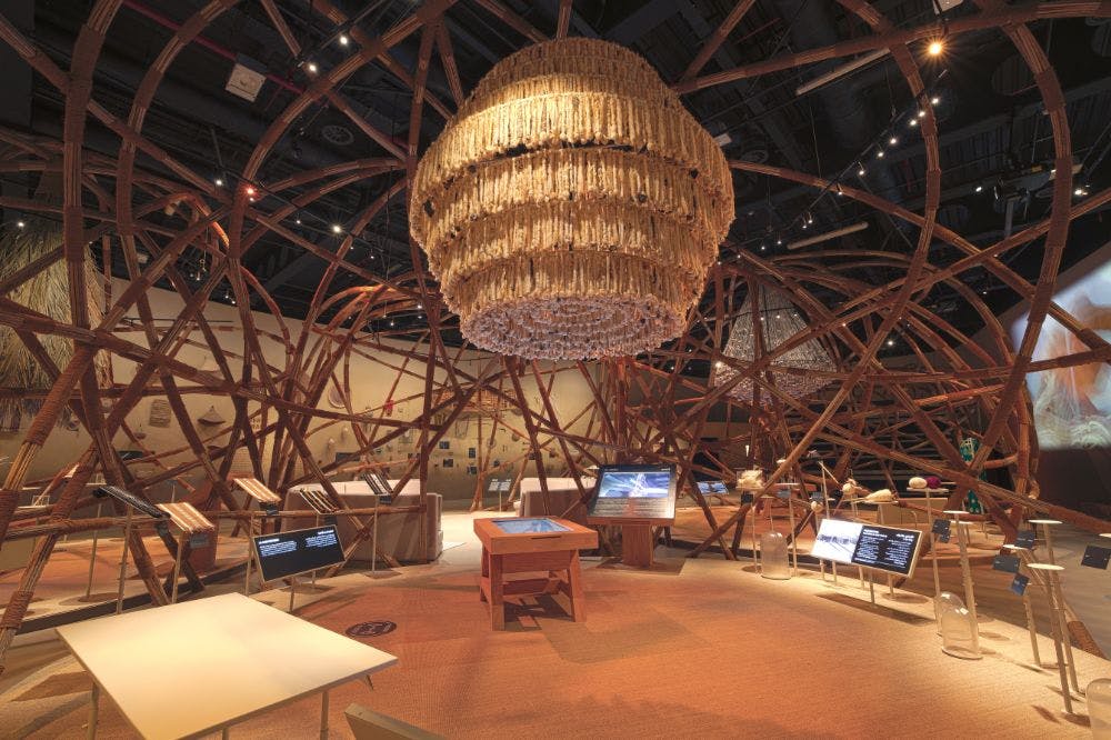 Museum exhibit with a large woven chandelier, interactive displays, wooden tables, and intricate wooden framework decor.